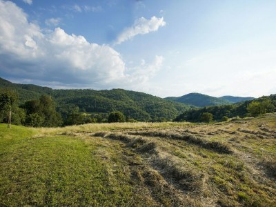 Apartment Wohnung in Anghiari mit Terrasse - Outdoor photo 10
