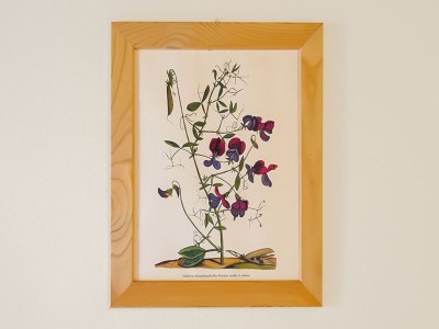 Apartment Wohnung in Anghiari mit Terrasse - Outdoor photo 26