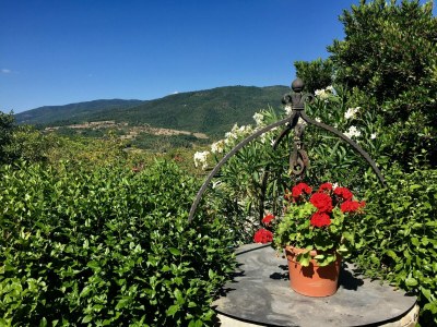 Holiday house Rustic Comfort with Modern Touch - Outdoor photo 10