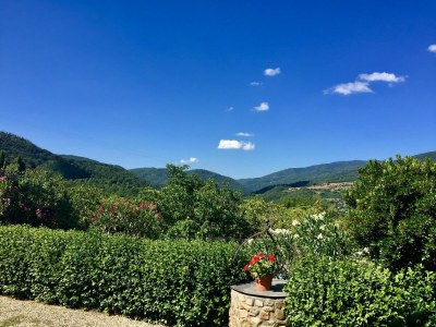 Holiday house Rustic Comfort with Modern Touch - Environment photo 31