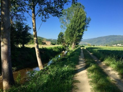 Holiday house Rustic Comfort with Modern Touch - Environment photo 33