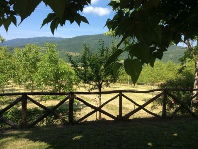 Holiday house Rustic Comfort with Modern Touch - Environment photo 35