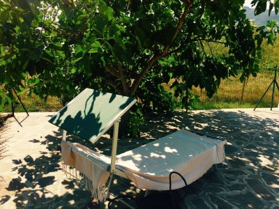 Holiday house Rustic Comfort with Modern Touch - Outdoor photo 37