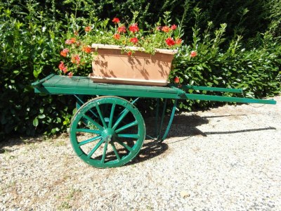 Holiday house Rustic Comfort with Modern Touch - Outdoor photo 38