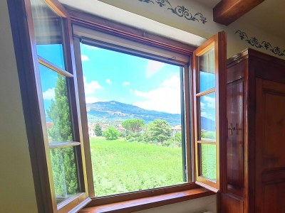 Farmhouse Quiet farmhouse in Cortona - Outdoor photo 10