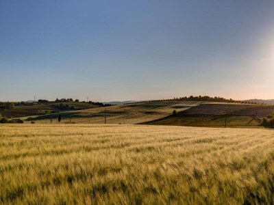 Farmhouse Quiet farmhouse in Cortona - Environment photo 26
