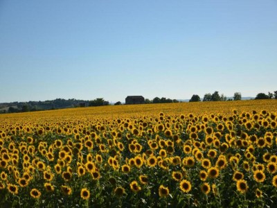 Farmhouse Quiet farmhouse in Cortona - Environment photo 33