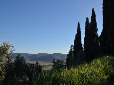 Farmhouse Quiet farmhouse in Cortona - Environment photo 39