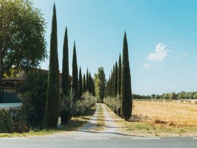 Farmhouse Bauernhaus in Cortona mit Schwimmbad - Outdoor photo 4