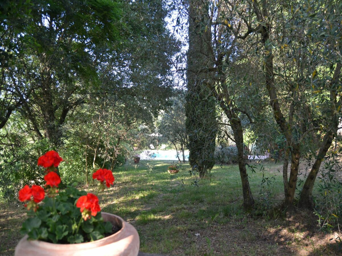 Holiday house Ferienhaus im Val di Chiana - Outdoor photo 2