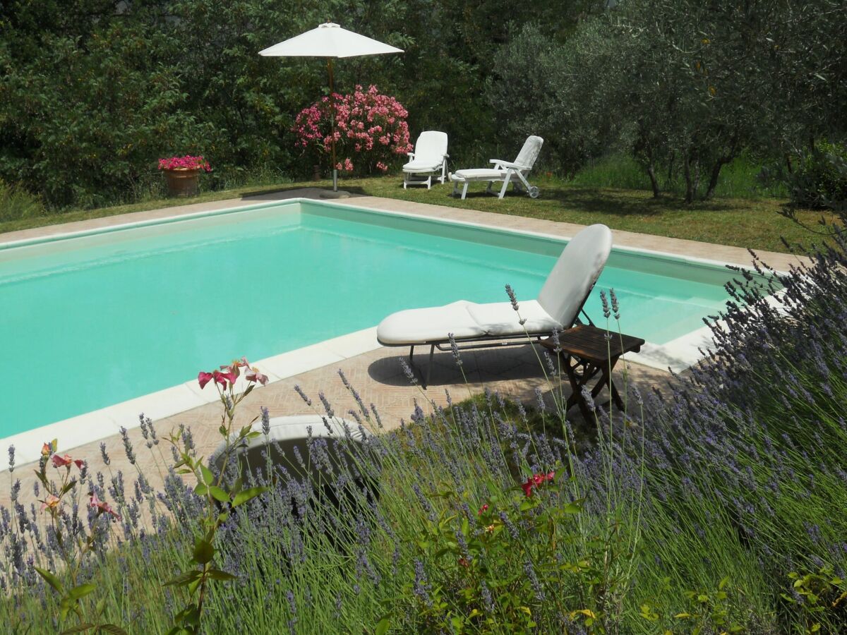 Holiday house Ferienhaus im Val di Chiana - Outdoor photo 3