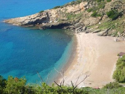 Holiday house Ferienhaus im Val di Chiana - Environment photo 37