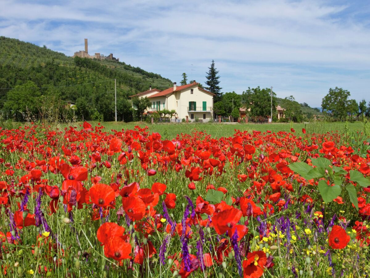 Holiday house Ruhiges Bauernhaus in Castiglion Fiorentino - Outdoor photo 3