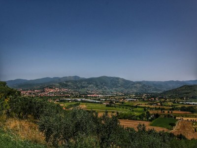 Holiday house Ruhiges Bauernhaus in Castiglion Fiorentino - Environment photo 31