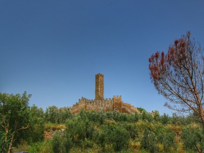 Holiday house Ruhiges Bauernhaus in Castiglion Fiorentino - Environment photo 32