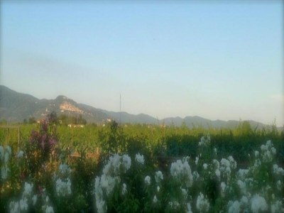 Holiday house Ferienhaus in Cortona mit Pool - Environment photo 21