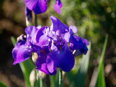 Holiday house Ferienhaus in Cortona mit Pool - Environment photo 34