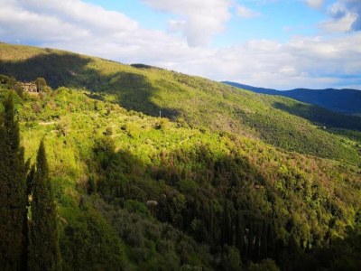 Chalet Chalet mit Pool in Cortona - Environment photo 29