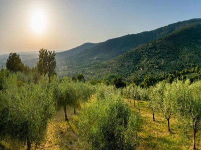 Chalet Chalet mit Pool in Cortona - Environment photo 30