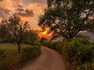 Chalet Chalet mit Pool in Cortona - Environment photo 33