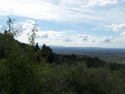 Chalet Chalet mit Pool in Cortona - Environment photo 38