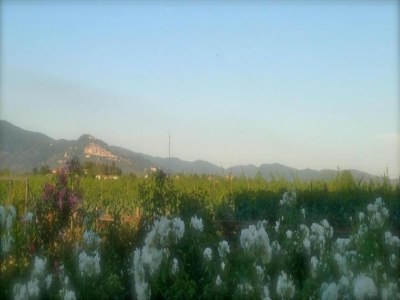 Holiday house Ferienhaus in Cortona - Environment photo 26