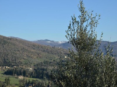 Holiday house Ferienhaus in Cortona - Environment photo 33