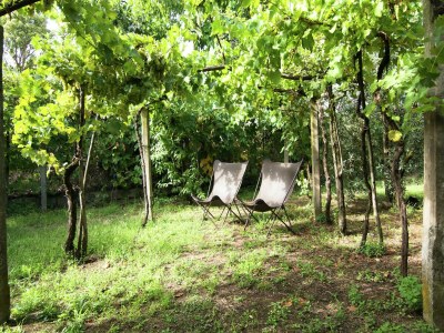 Holiday house Ferienhaus in Cortona - Outdoor photo 37