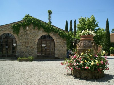 Holiday house Ferienhaus in Cortona - Outdoor photo 5