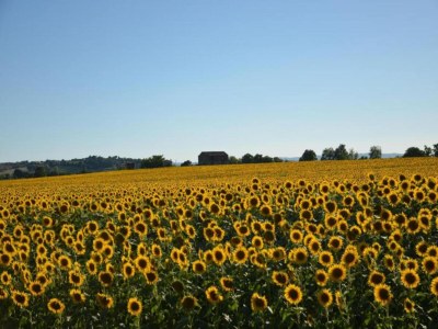 Holiday house Ferienhaus in Cortona - Environment photo 31