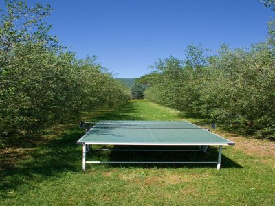 Holiday house Ferienhaus in Cortona - Outdoor photo 36