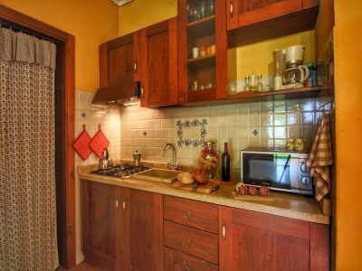 Cottage Attractive mansion with pool - Features photo 11