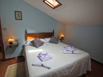 Cottage Attractive mansion with pool - Features photo 16