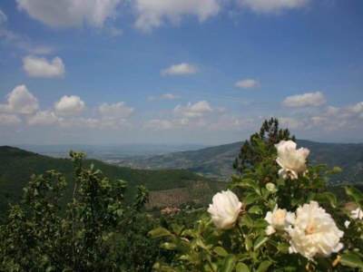 Cottage Attractive mansion with pool - Environment photo 23