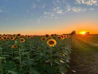 Cottage Attractive mansion with pool - Environment photo 28