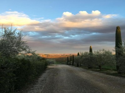 Cottage Attractive mansion with pool - Environment photo 35