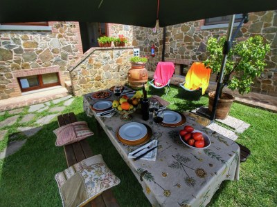 Holiday house Cottage in Tuscany with Pool & Olive Groves - Outdoor photo 16