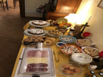 Holiday house Cottage in Tuscany with Pool & Olive Groves - Outdoor photo 39