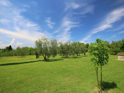 Villa Villa mit Pool in Marciano - Outdoor photo 10
