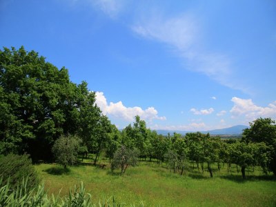 Villa Villa mit Pool in Marciano - Environment photo 28