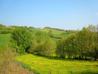 Holiday house Tuscan Charm: Frassini Cottage - Environment photo 20