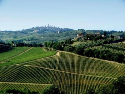 Holiday house Tuscan Charm: Frassini Cottage - Environment photo 33