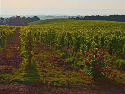 Holiday house Montana Escape, Tuscan Stay - Environment photo 40