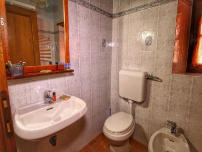 Apartment Hübsches Bauernhaus mit Terrasse - Features photo 31