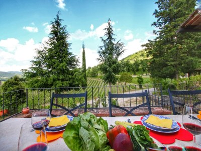 Apartment Escape to Vineyards, Elba - Outdoor photo 12