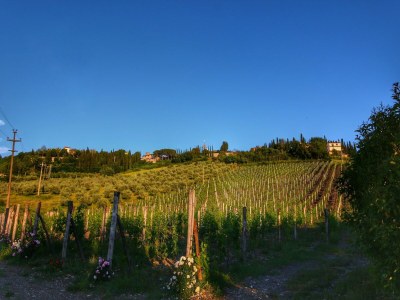 Apartment Escape to Vineyards, Elba - Environment photo 34