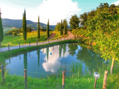 Apartment Escape to Vineyards, Elba - Environment photo 35