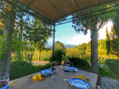 Apartment Escape to Vineyards, Elba - Outdoor photo 38