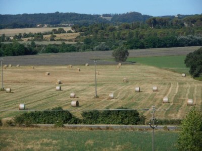 Farmhouse 360 degree view of the Tuscan - Environment photo 28