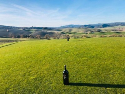 Farmhouse 360 degree view of the Tuscan - Environment photo 32